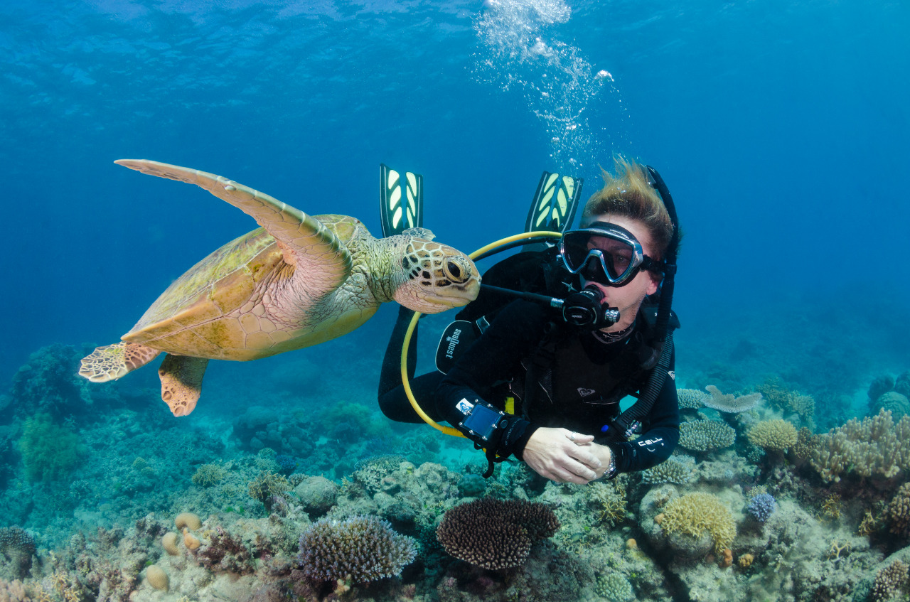 Great Barrier Reef Dive